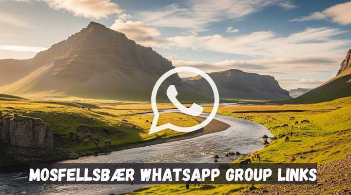 Mosfellsbær Whatsapp Group Links
