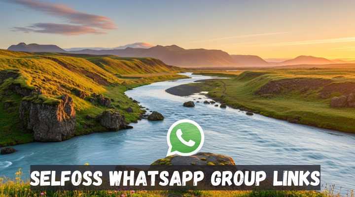 Selfoss Whatsapp Group Links