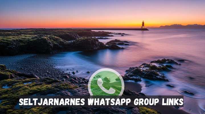 Seltjarnarnes Whatsapp Group Links